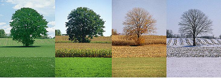 主机版《不朽者传奇》即将更新获得HDR和FSR 3支持