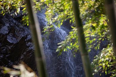机甲种田游戏《光年边境》首周玩家数超70万 更新路线图制作中