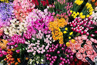 《Pioner》封测开启 《潜行者》风格FPS新游